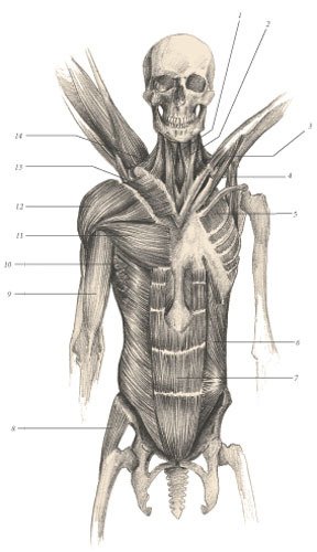 Химера - i_111.jpg