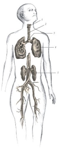 Химера - i_116.jpg