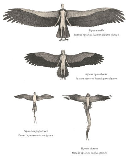 Химера - i_121.jpg