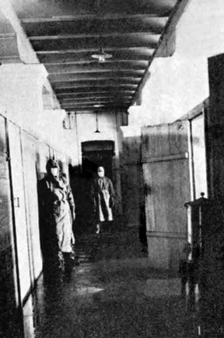 Очерки истории чумы (фрагменты) - _92.jpg