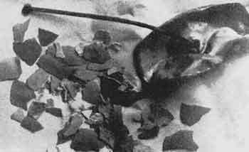 Очерки истории чумы (фрагменты) - _109.jpg