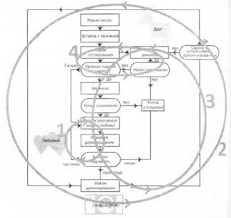 Женщина. Учебник для мужчины. 3-е издание - image24.jpg