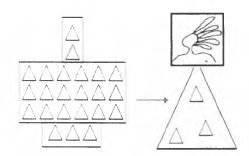 Женщина. Учебник для мужчины. 3-е издание - image38.jpg