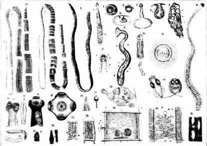 Женщина. Учебник для мужчины. 3-е издание - image53.jpg