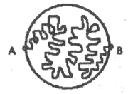 Макроскоп (др. перевод) - i_019.png