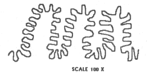 Макроскоп (др. перевод) - i_020.png