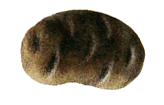 Черт-те что, или Праздник первого зуба - i_057.png