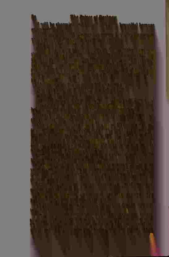 The Prince of Darkness - _163.jpg