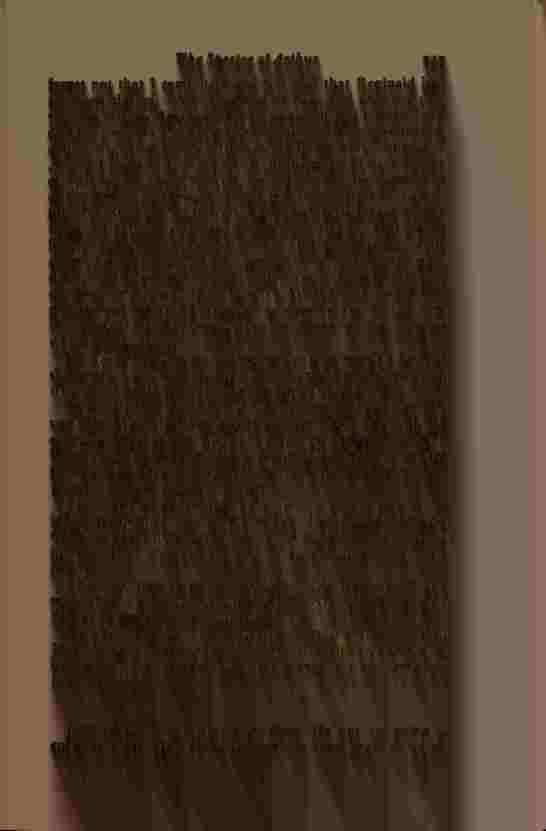 The Prince of Darkness - _456.jpg