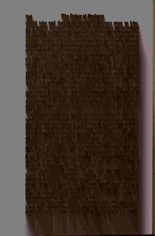 The Prince of Darkness - _490.jpg