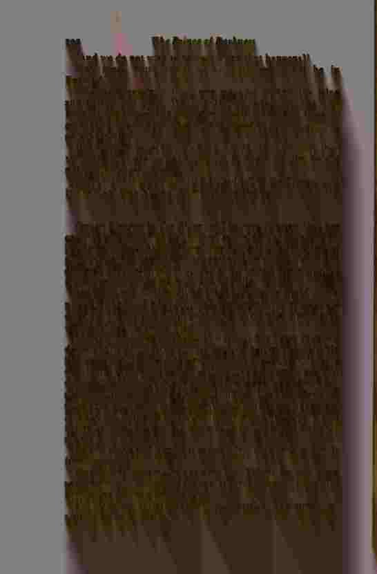 The Prince of Darkness - _406.jpg