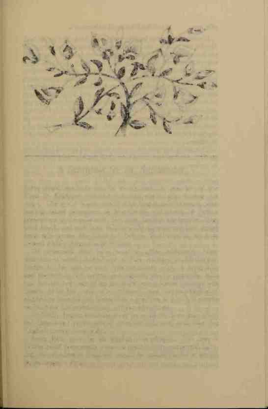 The Prince of Darkness - _527.jpg