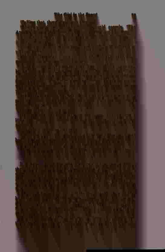 The Prince of Darkness - _149.jpg