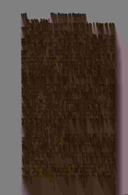 The Prince of Darkness - _454.jpg