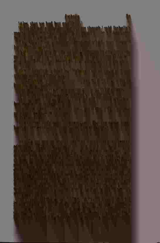 The Prince of Darkness - _169.jpg