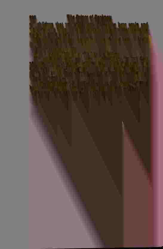 The Prince of Darkness - _586.jpg