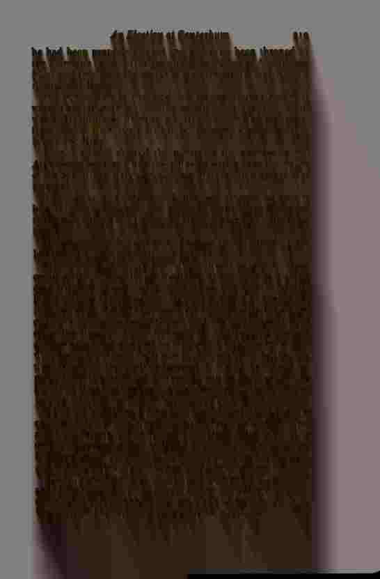 The Prince of Darkness - _440.jpg