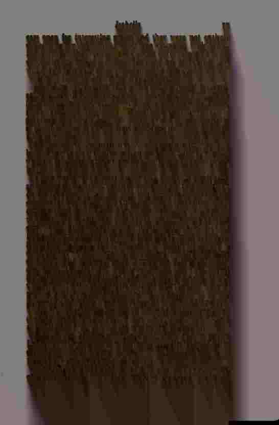 The Prince of Darkness - _157.jpg