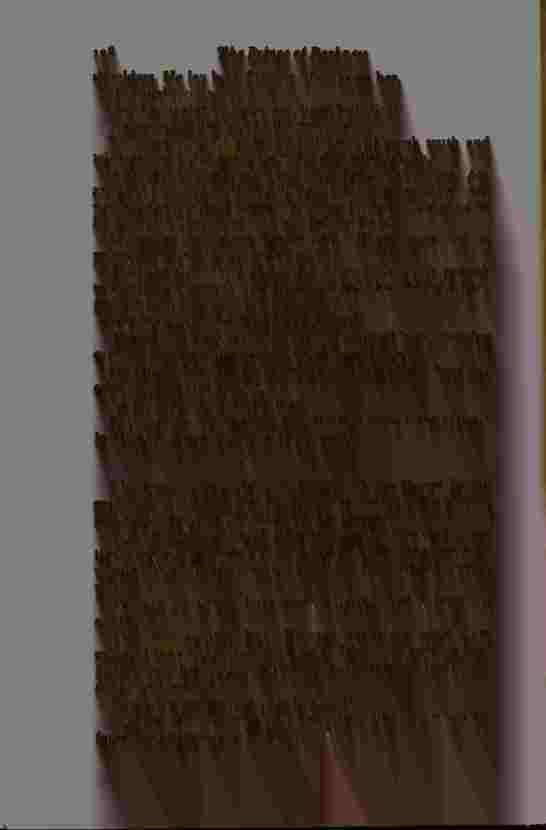 The Prince of Darkness - _259.jpg