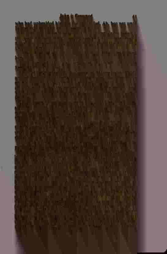 The Prince of Darkness - _86.jpg