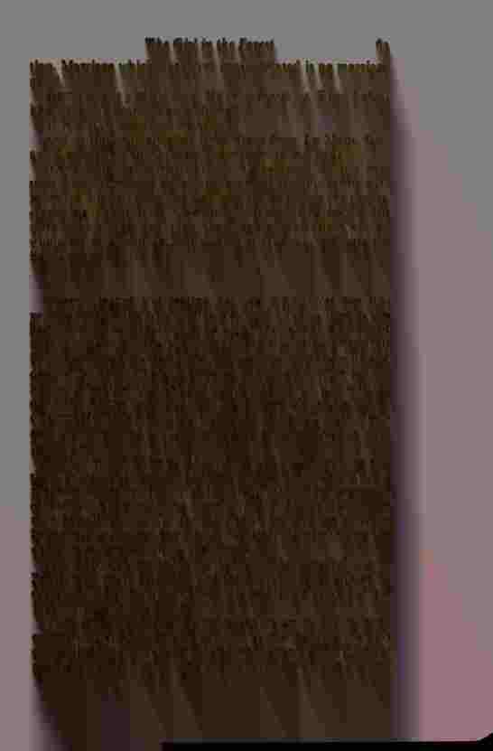 The Prince of Darkness - _129.jpg