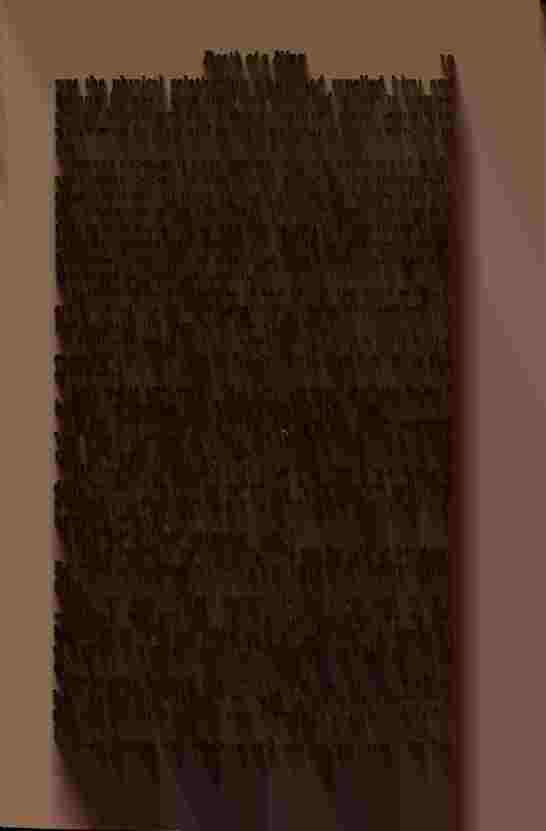 The Prince of Darkness - _42.jpg