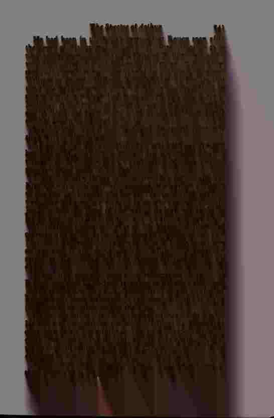 The Prince of Darkness - _484.jpg