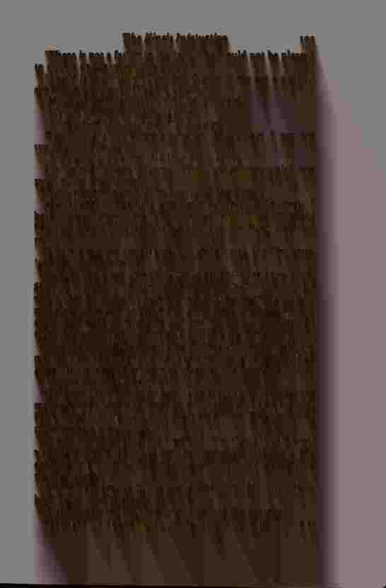 The Prince of Darkness - _209.jpg