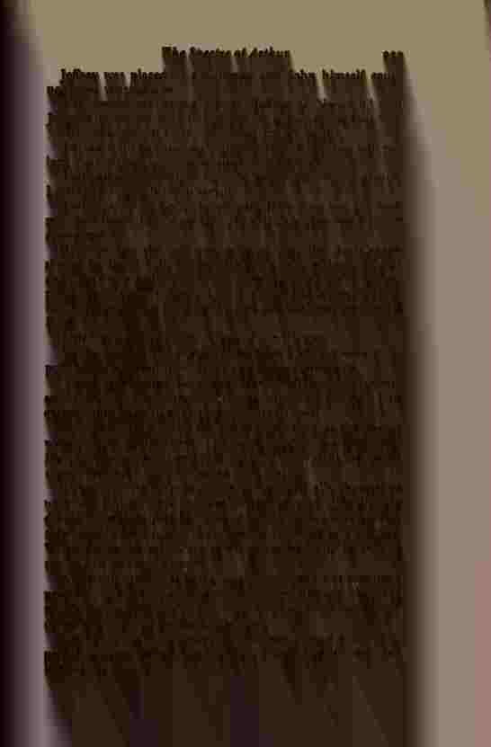 The Prince of Darkness - _480.jpg