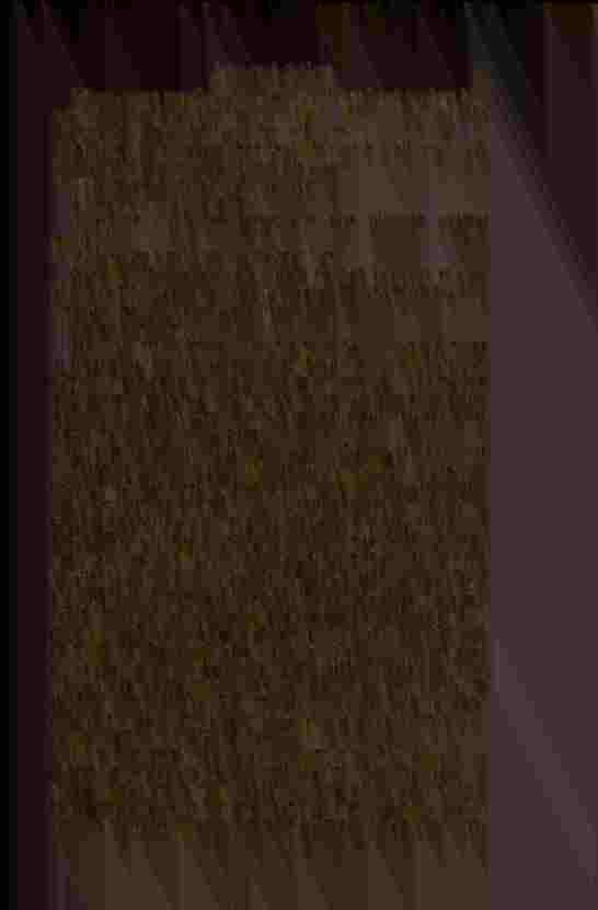 The Prince of Darkness - _70.jpg