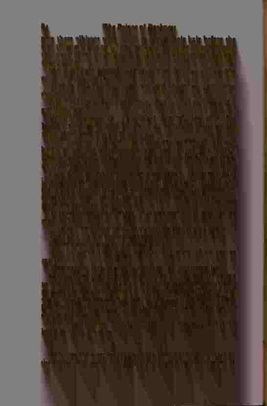 The Prince of Darkness - _171.jpg