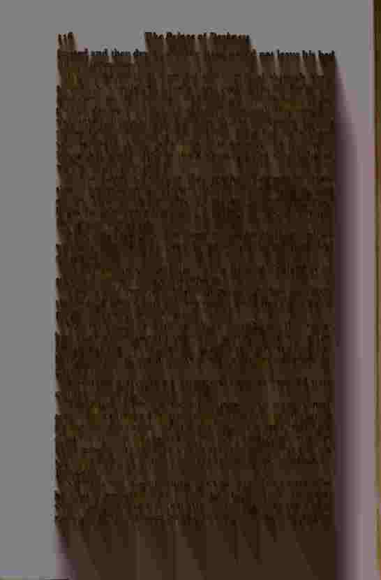 The Prince of Darkness - _235.jpg