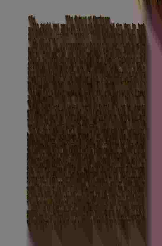 The Prince of Darkness - _530.jpg