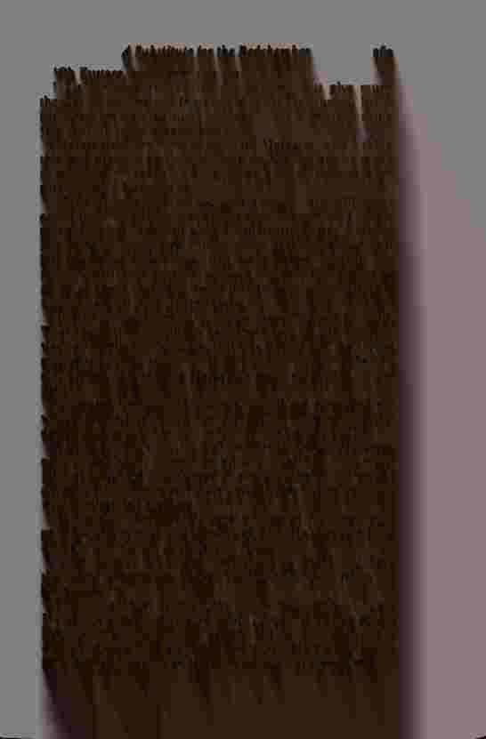 The Prince of Darkness - _540.jpg