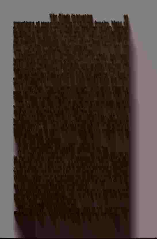 The Prince of Darkness - _193.jpg