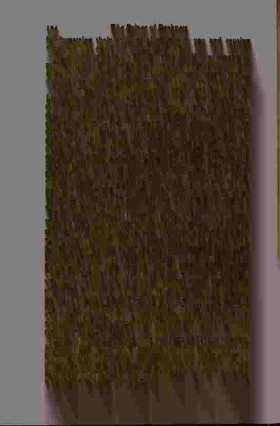 The Prince of Darkness - _251.jpg