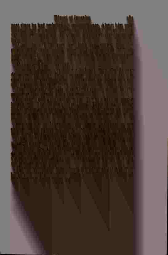 The Prince of Darkness - _568.jpg