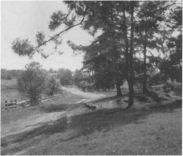 Бакунин - i_007.jpg