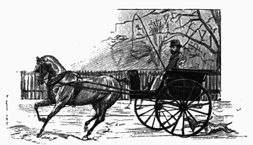 My First Book - img_62.png