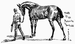 My First Book - img_64.png