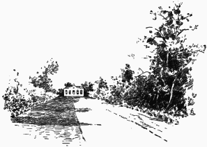 My First Book - img_89.png