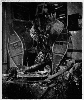 My First Book - img_115.png