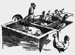 My First Book - img_134.png