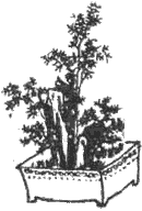 Рассказы Ляо Чжая о необычайном - i_004.png