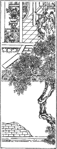 Рассказы Ляо Чжая о необычайном - i_005.png