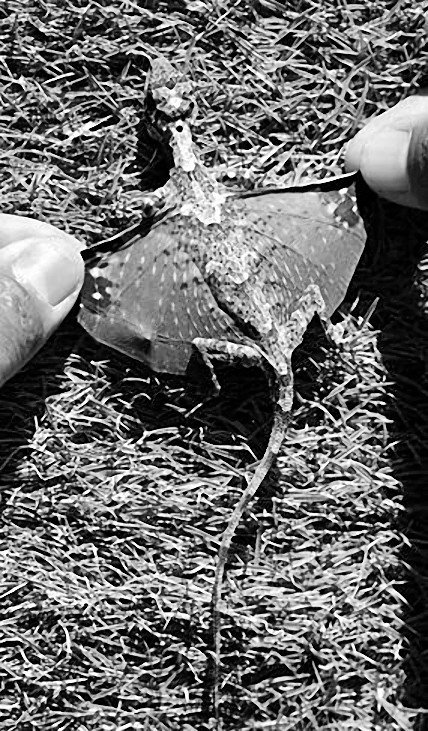 Выдающийся ум. Мыслить как Шерлок Холмс - _13.jpg