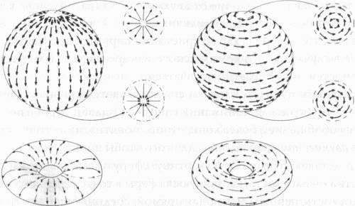 Теория струн и скрытые измерения вселенной - _35.jpg
