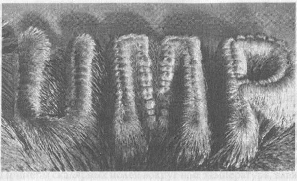 Теория струн и скрытые измерения вселенной - _68.jpg