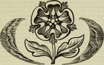 The Star of Lancaster - _23.jpg