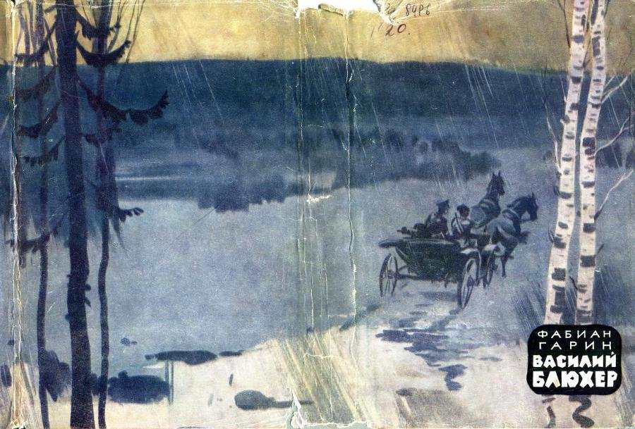 Василий Блюхер. Книга 1 - img_1.jpeg